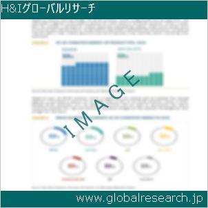 グローバルリサーチ調査レポートのイメージ